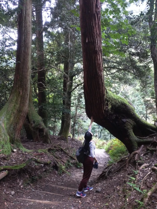 blurry background: white/grey